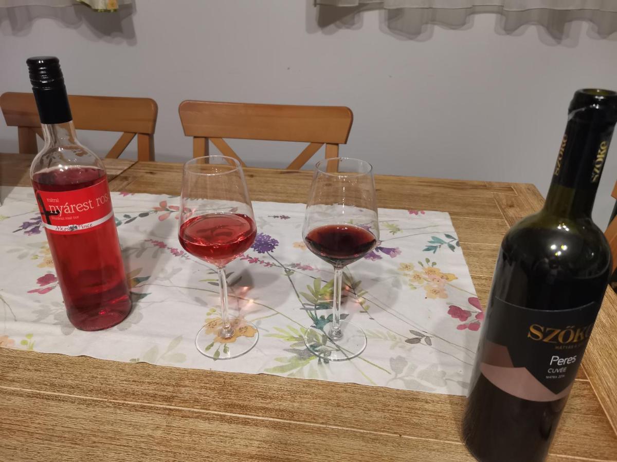 Apartament Novak Porta Vendeghaz-Tab, Zala Zewnętrze zdjęcie