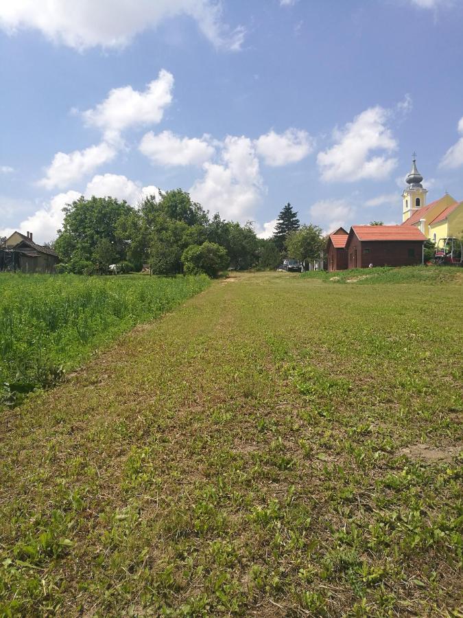 Apartament Novak Porta Vendeghaz-Tab, Zala Zewnętrze zdjęcie